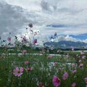 ヒメ日記 2025/08/22 07:30 投稿 金川やえ 川崎南町 素敵な奥様（川崎ハレ系）