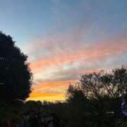 ヒメ日記 2025/11/04 09:41 投稿 金川やえ 川崎南町 素敵な奥様（川崎ハレ系）