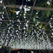 ヒメ日記 2025/11/05 09:14 投稿 金川やえ 川崎南町 素敵な奥様（川崎ハレ系）