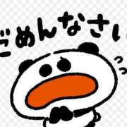 ヒメ日記 2025/11/19 15:26 投稿 金川やえ 川崎南町 素敵な奥様（川崎ハレ系）