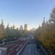 ヒメ日記 2025/11/20 14:43 投稿 金川やえ 川崎南町 素敵な奥様（川崎ハレ系）