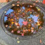 ヒメ日記 2025/11/28 09:21 投稿 金川やえ 川崎南町 素敵な奥様（川崎ハレ系）