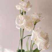 ヒメ日記 2026/01/19 09:15 投稿 金川やえ 川崎南町 素敵な奥様（川崎ハレ系）