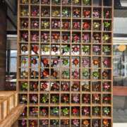 ヒメ日記 2026/01/29 09:06 投稿 金川やえ 川崎南町 素敵な奥様（川崎ハレ系）