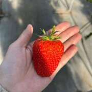 ヒメ日記 2026/02/14 08:04 投稿 金川やえ 川崎南町 素敵な奥様（川崎ハレ系）