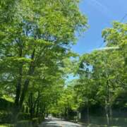 ヒメ日記 2026/04/21 08:47 投稿 金川やえ 川崎南町 素敵な奥様（川崎ハレ系）