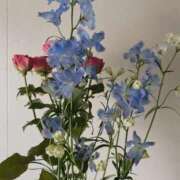 ヒメ日記 2026/05/12 09:05 投稿 金川やえ 川崎南町 素敵な奥様（川崎ハレ系）