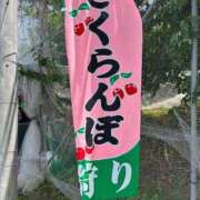 ヒメ日記 2026/07/03 09:00 投稿 金川やえ 川崎南町 素敵な奥様（川崎ハレ系）