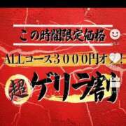 ヒメ日記 2026/02/19 00:51 投稿 服部　ことな エテルナ京都