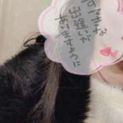 服部　ことな 🦍 エテルナ京都