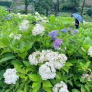 ヒメ日記 2026/07/01 16:20 投稿 山城ゆきな(やましろゆきな) 神戸妻