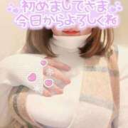 ヒメ日記 2025/02/13 09:23 投稿 みなみ ぽちゃカワイイ！