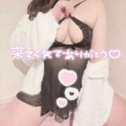 ヒメ日記 2025/04/07 10:10 投稿 みなみ ぽちゃカワイイ！