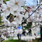 ヒメ日記 2025/04/07 12:04 投稿 みなみ ぽちゃカワイイ！