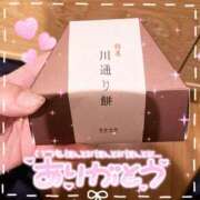 ヒメ日記 2025/04/19 08:24 投稿 みなみ ぽちゃカワイイ！