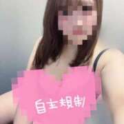 ヒメ日記 2025/06/07 10:00 投稿 みなみ ぽちゃカワイイ！