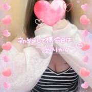 ヒメ日記 2025/06/28 09:15 投稿 みなみ ぽちゃカワイイ！