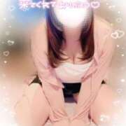 ヒメ日記 2025/12/31 09:22 投稿 みなみ ぽちゃカワイイ！