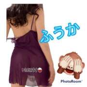 ヒメ日記 2025/03/13 07:30 投稿 ふうか 梅田人妻秘密倶楽部