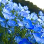 ヒメ日記 2025/04/20 19:05 投稿 ふうか 梅田人妻秘密倶楽部