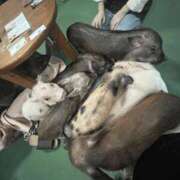 ヒメ日記 2025/09/06 19:05 投稿 ふうか 梅田人妻秘密倶楽部