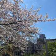 生田 木曜日と昨日もありがとうございました✨ モアグループ所沢人妻城