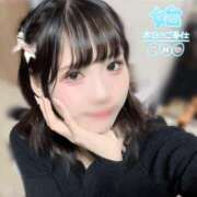 ヒメ日記 2024/12/21 08:19 投稿 ゆめか ラズベリードール