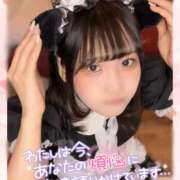 ヒメ日記 2024/12/23 08:18 投稿 ゆめか ラズベリードール