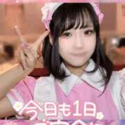 ヒメ日記 2024/12/29 15:18 投稿 ゆめか ラズベリードール