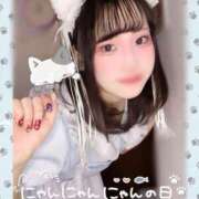 ヒメ日記 2025/02/22 22:29 投稿 ゆめか ラズベリードール