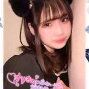 ヒメ日記 2025/03/13 08:28 投稿 ゆめか ラズベリードール