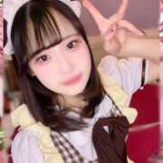 ヒメ日記 2025/04/04 15:31 投稿 ゆめか ラズベリードール