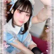 ヒメ日記 2025/04/25 13:29 投稿 ゆめか ラズベリードール