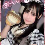 ヒメ日記 2025/09/11 02:30 投稿 ゆめか ラズベリードール