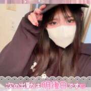 ヒメ日記 2025/11/04 14:28 投稿 ゆめか ラズベリードール