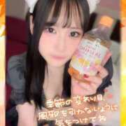 ヒメ日記 2025/11/16 20:30 投稿 ゆめか ラズベリードール