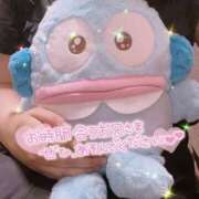 ヒメ日記 2025/06/13 18:12 投稿 みほ スピードエコ難波店