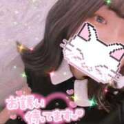 ヒメ日記 2025/07/26 20:42 投稿 みほ スピードエコ難波店