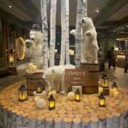 ヒメ日記 2025/03/16 22:19 投稿 このみ シークレットサービス