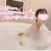 ヒメ日記 2025/04/12 14:19 投稿 このみ シークレットサービス