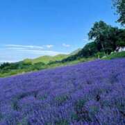 ヒメ日記 2025/07/25 23:42 投稿 このみ シークレットサービス