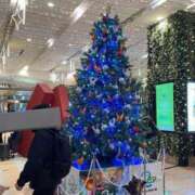 ヒメ日記 2025/12/12 23:12 投稿 このみ シークレットサービス