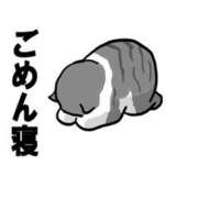 ヒメ日記 2025/07/19 12:39 投稿 レイナ Celeb Garden(セレブガーデン)