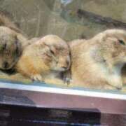 ヒメ日記 2026/04/22 01:39 投稿 レイナ Celeb Garden(セレブガーデン)