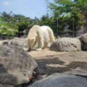 ヒメ日記 2026/04/22 09:39 投稿 レイナ Celeb Garden(セレブガーデン)