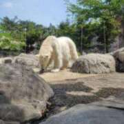 レイナ あがりんご Celeb Garden(セレブガーデン)