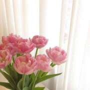 ヒメ日記 2026/02/24 14:37 投稿 【熟女】りえこ 人妻華道－上田店