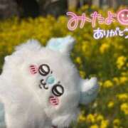 ヒメ日記 2026/04/03 13:55 投稿 いおな マリアージュ熊谷