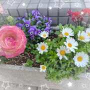 ヒメ日記 2026/03/09 13:18 投稿 花岡ましろ 東京不倫～とうきょうふりん～