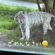 ヒメ日記 2025/06/02 13:20 投稿 らいと SPIN(スピン)